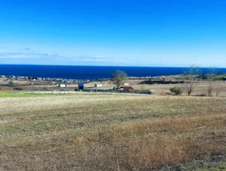 Apply Luxury Villa Project For Urgent Sale Provide High Kaznç Location Magnificent Completely Full Sea And Nature View