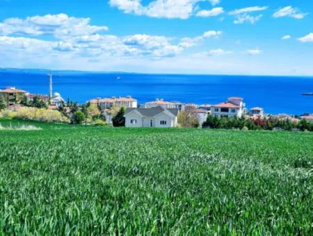 Wonderful Sea And Nature View Or Cooperative. Whether You Want To Build A Luxury Villa. 40 Flats 6.400 Residential Zoned Land