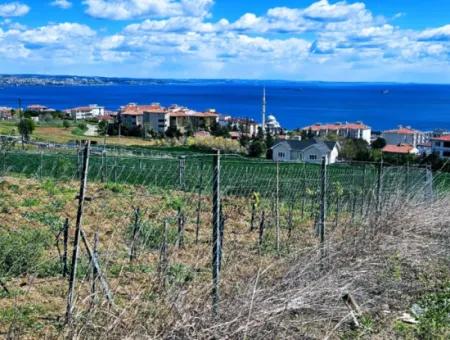Wonderful Sea And Nature View Or Cooperative. Whether You Want To Build A Luxury Villa. 40 Flats 6.400 Residential Zoned Land