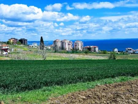 Apply A Luxury Project For Urgent Sale In Tekirdag Barbarosta Build A Wonderful Cooperative Site With Full Sea And Nature Views. High Profit Guarantee