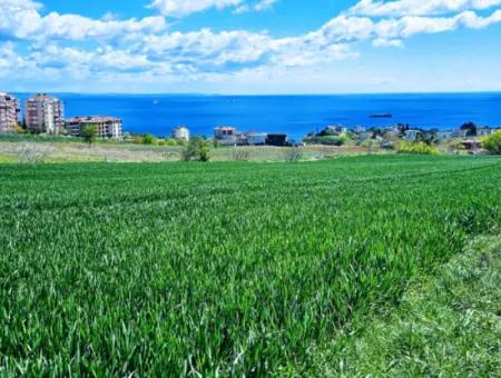 Apply A Luxury Project For Urgent Sale In Tekirdag Barbarosta Build A Wonderful Cooperative Site With Full Sea And Nature Views. High Profit Guarantee