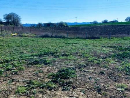 Investment Opportunity: 615 M2 Corner Land For Sale In Tekirdag Barbaros - Urgent Sale, Sea And Nature View, 0 Zoned