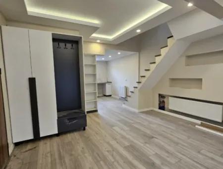 Bargain Detached Duplexs At The Price Of The Apartment Without Any Cost Suitable For Exchange Cash Credit