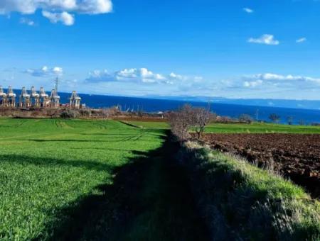 17 980 M2 Field For Sale Close To Tekirdag Barbaros Asyaport Port