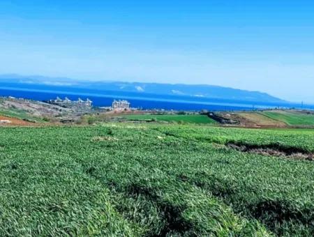 Land For Sale In 19,500 Square Meters Of Commercial And Industrial Area In Nusuratlı Area Of Tekirdağ