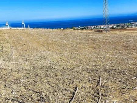 The 21,900 M2 Plot Located In Tekirdağ Barbaros Is Located Within The Current Zoning Plan Of Asyaport Port