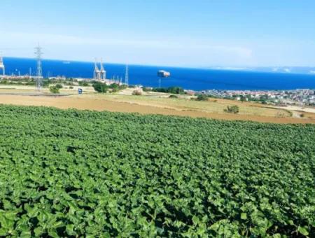 The 17,980 M2 Plot In Barbaros, Tekirdag, Is Facing The Asyaport Harbor Road.