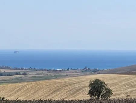 9.300 M2 Investment Field With Sea And Nature View In Tekirdağ Husunlu! Ideal Opportunity For Family Picnic, Viticulture Or Tiny House Project
