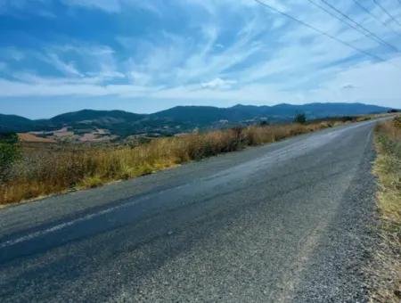 10.500 M2 Investment Field With The Advantage Of Open Road In Summer And Winter In Tekirdağ Çanakçı District! Great Opportunity For Family Picnic, Viticulture And Hobby Garden