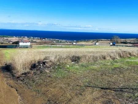 15.500 M2 Full Sea View Villa For Urgent Sale In Tekirdag Topağaç Neighborhood