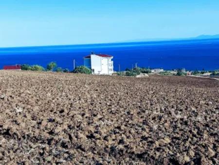 50 Flats For Urgent Sale In Tekirdag Barbarosta Cooperative And Coupon Place Suitable For Making Ste