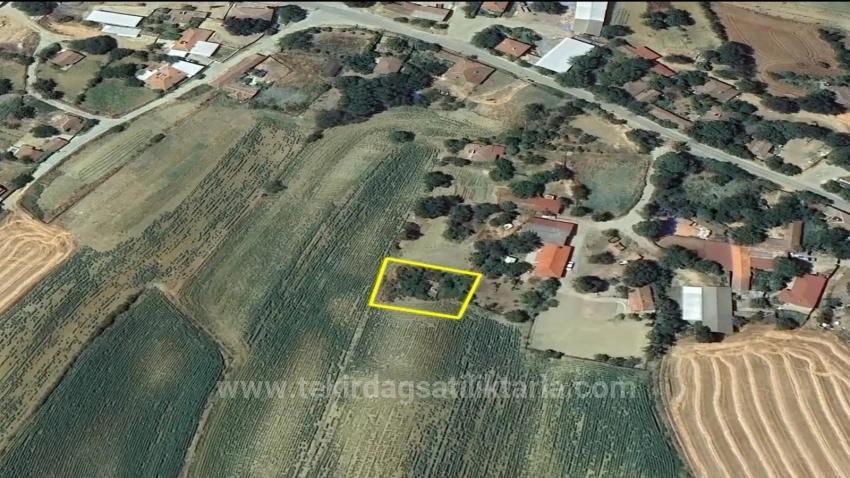 Срочная Продажа: Уникальная Возможность Для Тех, Кто Мечтает О Загородном Доме — Выгодное Предложение! Земельный Участок.