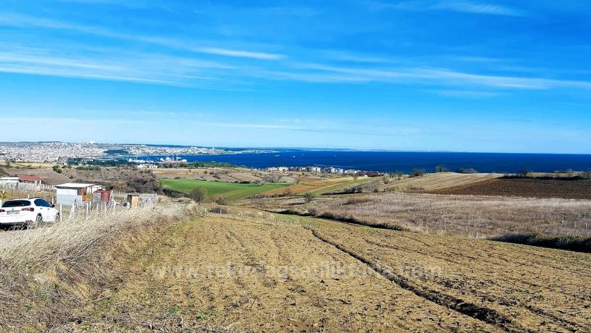 Выгодный Земельный Участок С Прекрасным Видом На Море, Природу И Город, Зонированный Под Застройку 20% Площади Двухэтажными Зданиями.