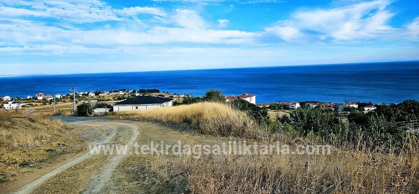 Для продажи Сюжет в Barbaros Süleymanpaşa Kumbağ - Под Жилье застройку - 528 m²