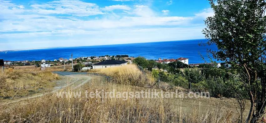 Для продажи Сюжет в Barbaros Süleymanpaşa Kumbağ - Под Жилье застройку - 528 m²
