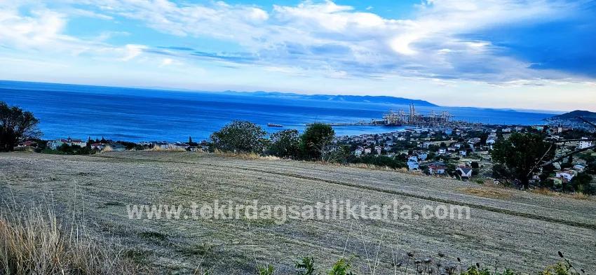 Для продажи Сюжет в Barbaros Süleymanpaşa Kumbağ - Под Жилье застройку - 528 m²