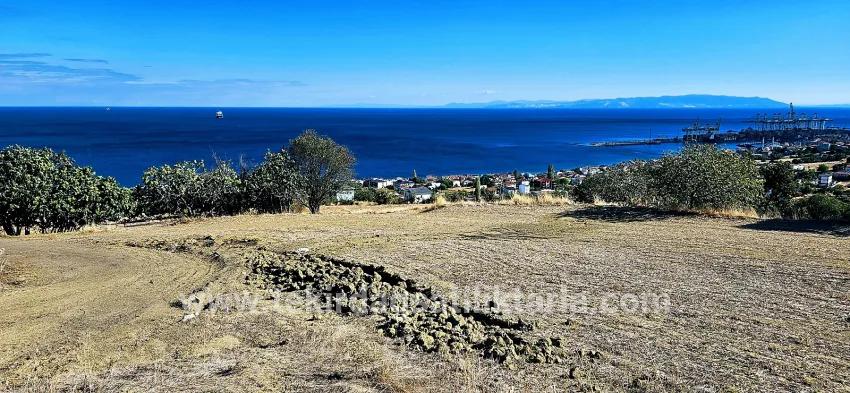 Для продажи Сюжет в Barbaros Süleymanpaşa Kumbağ - Под Жилье застройку - 2.780 m²