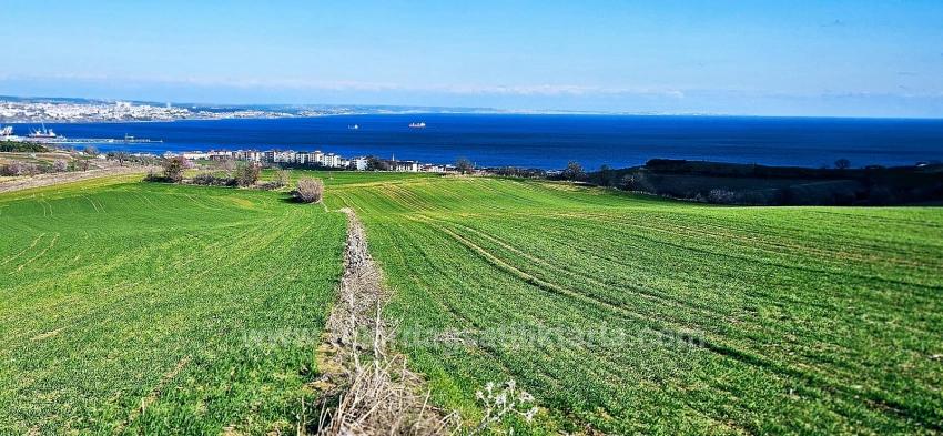 Для Продажи Земля в Barbaros Süleymanpaşa Kumbağ - Под Жилье застройку - 34.500 m²