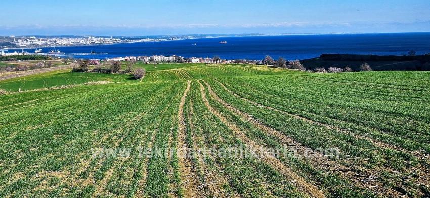Для продажи Земля в Barbaros Süleymanpaşa Kumbağ - Под Жилье застройку - 19.533 m²