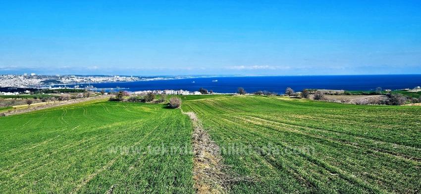 Участок С Панорамным Видом На Море И Природу, Подходящий Для Строительства 75 Вилл В Текирдаге Барбароста