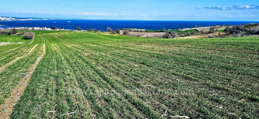 Для продажи Земля в Barbaros Süleymanpaşa Kumbağ - Под Жилье застройку - 19.533 m²