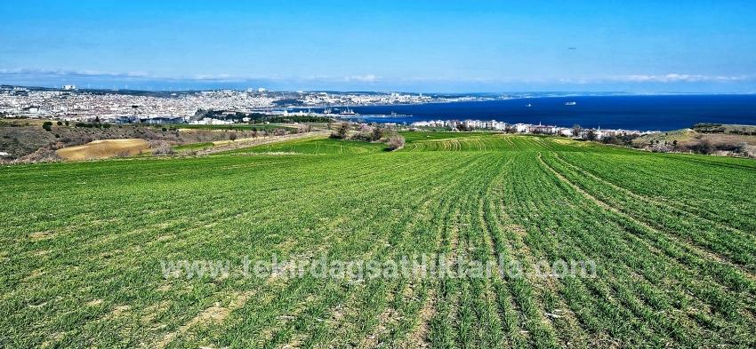 Для продажи Земля в Barbaros Süleymanpaşa Kumbağ - Под Жилье застройку - 19.533 m²