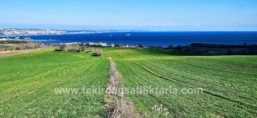 Для продажи Земля в Barbaros Süleymanpaşa Kumbağ - Под Жилье застройку - 19.533 m²