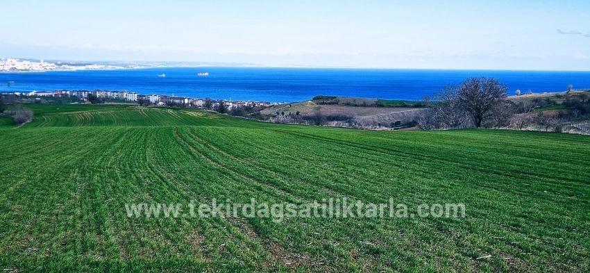 Для продажи Земля в Barbaros Süleymanpaşa Kumbağ - Под Жилье застройку - 19.533 m²