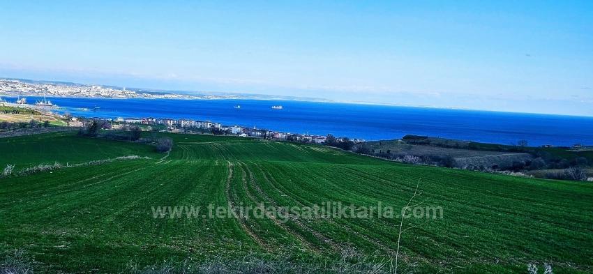 Для продажи Земля в Barbaros Süleymanpaşa Kumbağ - Под Жилье застройку - 19.533 m²