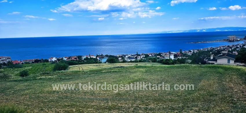 Для продажи Земля в Barbaros Süleymanpaşa Kumbağ - Под Жилье застройку - 6.100 m²