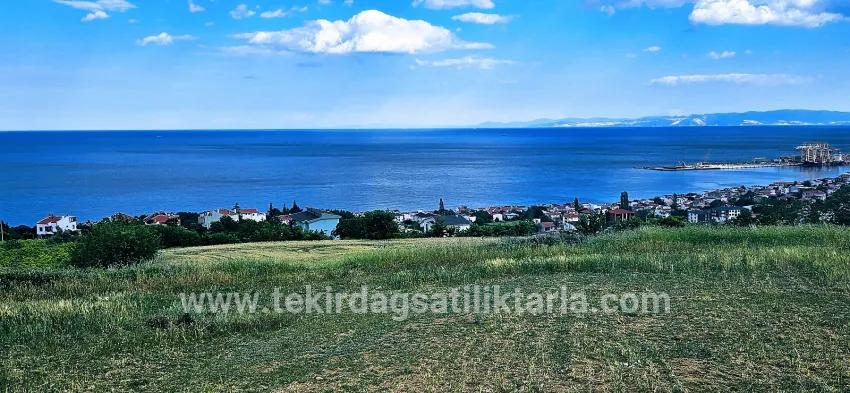 Для продажи Земля в Barbaros Süleymanpaşa Kumbağ - Под Жилье застройку - 6.100 m²