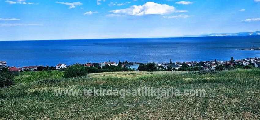 Для продажи Земля в Barbaros Süleymanpaşa Kumbağ - Под Жилье застройку - 6.100 m²
