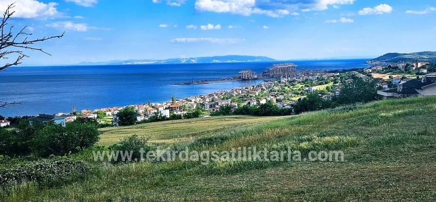 Для продажи Земля в Barbaros Süleymanpaşa Kumbağ - Под Жилье застройку - 6.100 m²