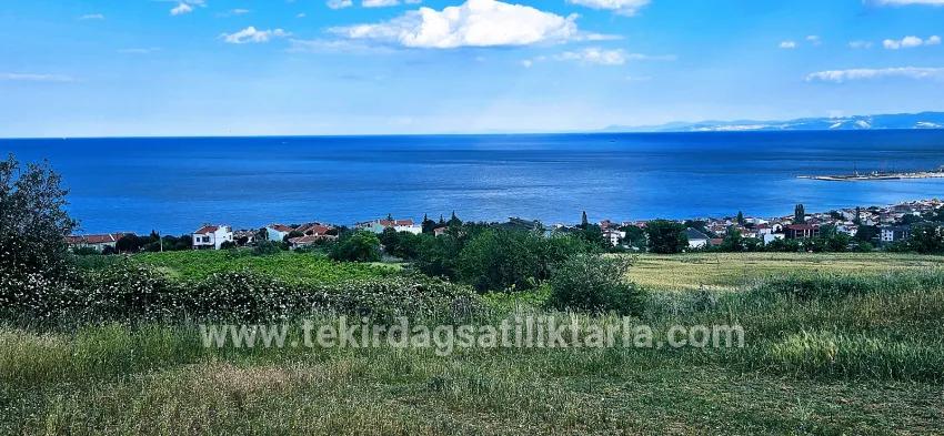 Для продажи Земля в Barbaros Süleymanpaşa Kumbağ - Под Жилье застройку - 6.100 m²