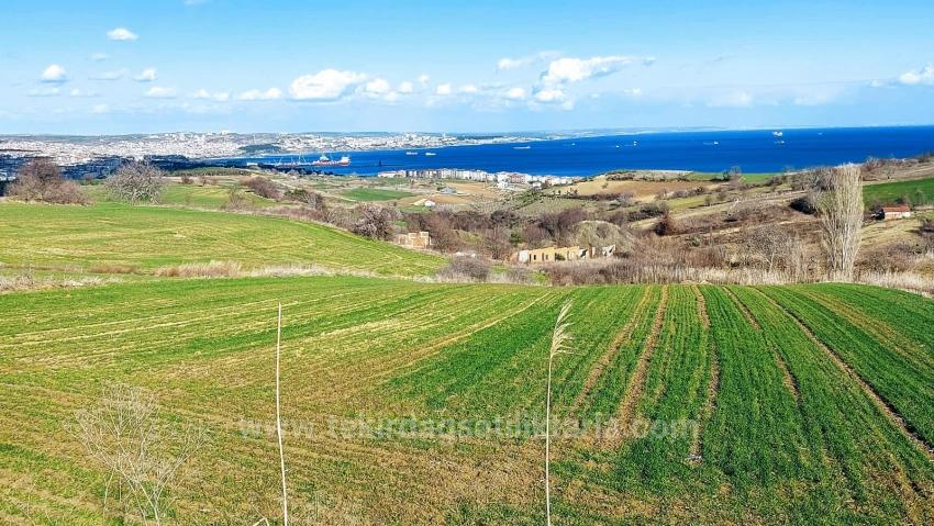 Участок Земли, Подходящий Для Строительства 8 Вилл С Панорамным Видом На Море И Природу В Текирдаге Барбароста