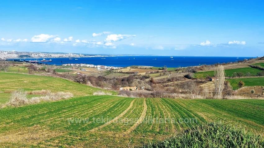 Для Продажи Земля в Barbaros Süleymanpaşa Kumbağ - Под Вилла застройку - 4.300 m²