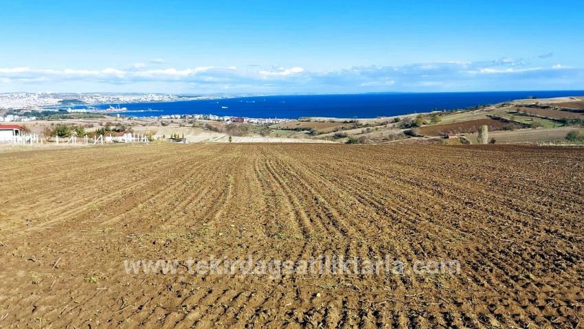 Для продажи Земля в Barbaros Süleymanpaşa Kumbağ - Под Вилла застройку - 6.350 m²