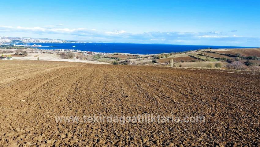 Для продажи Земля в Barbaros Süleymanpaşa Kumbağ - Под Вилла застройку - 6.350 m²