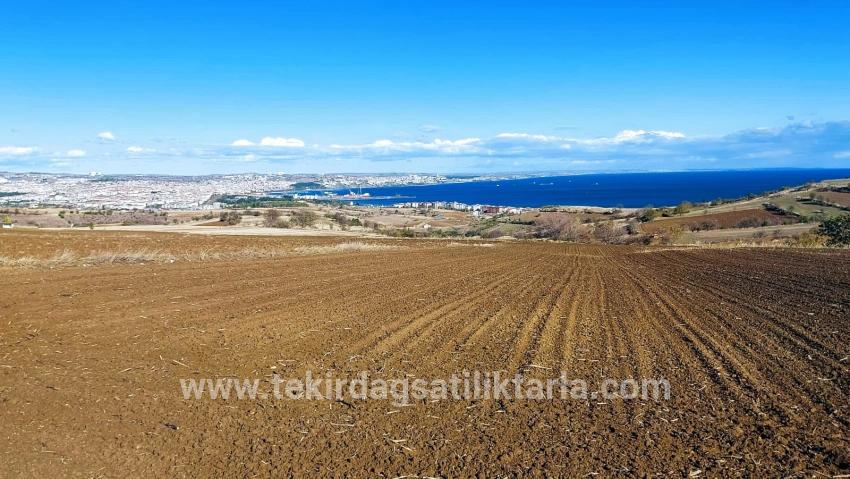 Для продажи Земля в Barbaros Süleymanpaşa Kumbağ - Под Вилла застройку - 6.350 m²