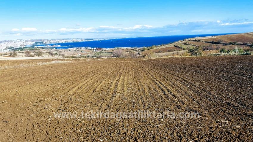 Для продажи Земля в Barbaros Süleymanpaşa Kumbağ - Под Вилла застройку - 6.350 m²