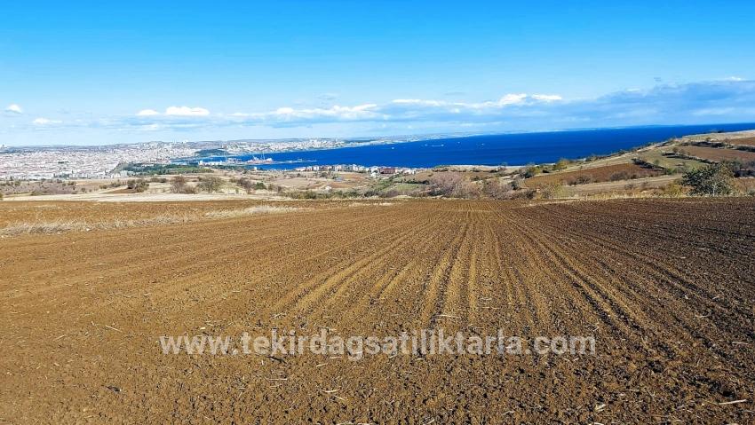 Для продажи Земля в Barbaros Süleymanpaşa Kumbağ - Под Вилла застройку - 6.350 m²