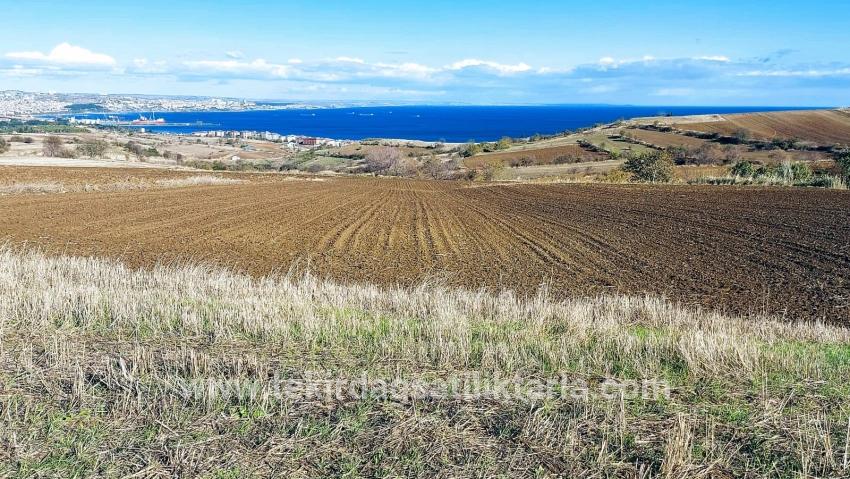 Для продажи Земля в Barbaros Süleymanpaşa Kumbağ - Под Вилла застройку - 6.350 m²