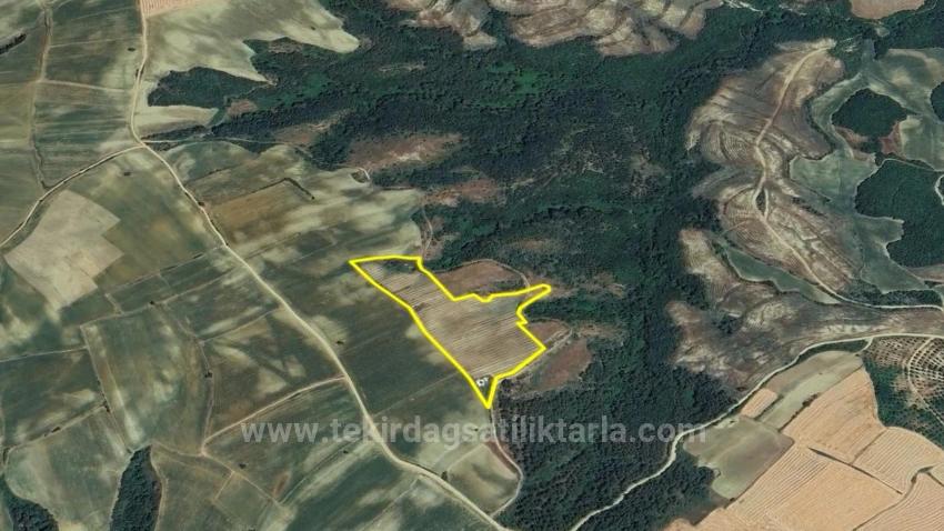 *Бартер+Наличные* Постройте Ферму С Государственной Поддержкой* Производите И Выращивайте* Обеспечьте Свое Будущее*