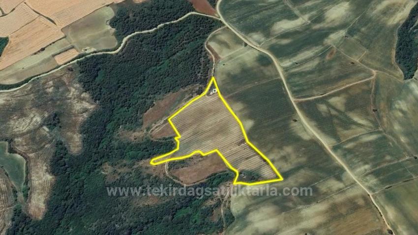 *Бартер+Наличные* Постройте Ферму С Государственной Поддержкой* Производите И Выращивайте* Обеспечьте Свое Будущее*