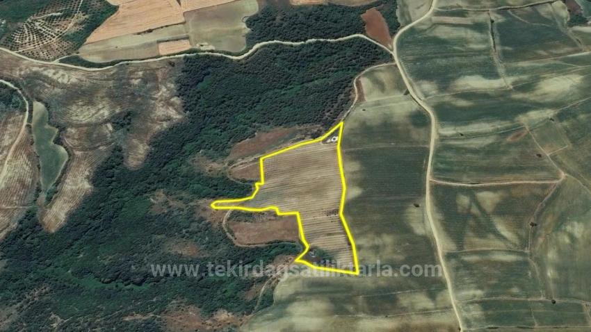 *Бартер+Наличные* Постройте Ферму С Государственной Поддержкой* Производите И Выращивайте* Обеспечьте Свое Будущее*