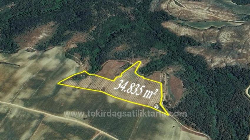 *Бартер+Наличные* Постройте Ферму С Государственной Поддержкой* Производите И Выращивайте* Обеспечьте Свое Будущее*