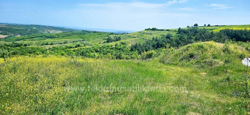 *Бартер+Наличные* Постройте Ферму С Государственной Поддержкой* Производите И Выращивайте* Обеспечьте Свое Будущее*