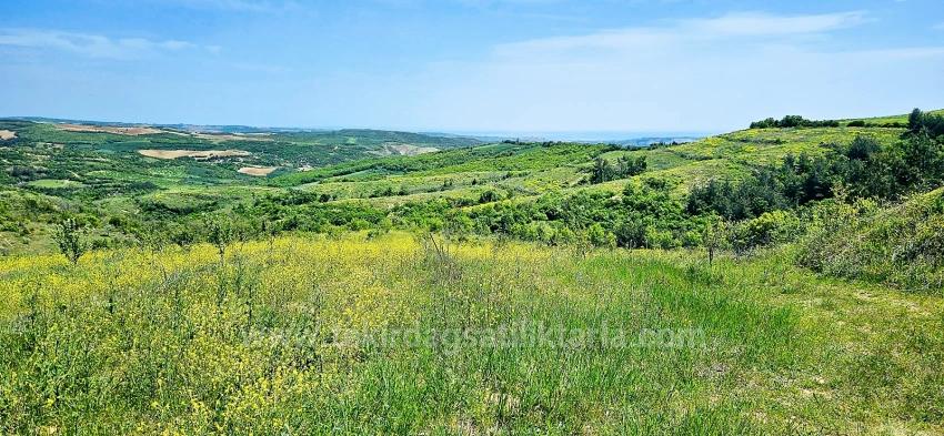 *Бартер+Наличные* Постройте Ферму С Государственной Поддержкой* Производите И Выращивайте* Обеспечьте Свое Будущее*