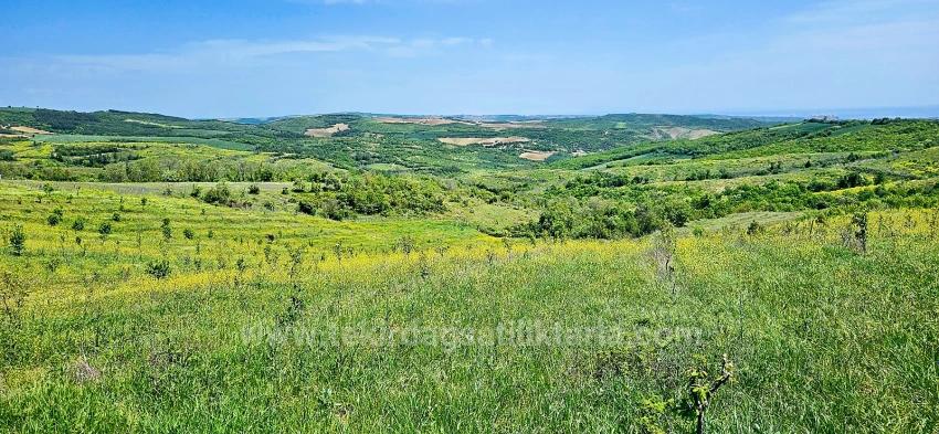 *Бартер+Наличные* Постройте Ферму С Государственной Поддержкой* Производите И Выращивайте* Обеспечьте Свое Будущее*