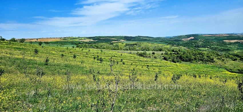 *Бартер+Наличные* Постройте Ферму С Государственной Поддержкой* Производите И Выращивайте* Обеспечьте Свое Будущее*